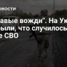 "Кровавые вожди". На Украине раскрыли, что случилось c ВСУ в зоне СВО