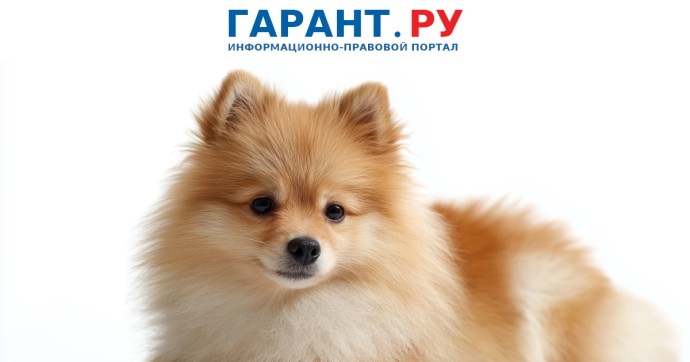 Можно ли вернуть подаренное животное в случае плохого ухода за ним