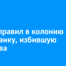 Суд отправил в колонию ангарчанку, избившую пристава