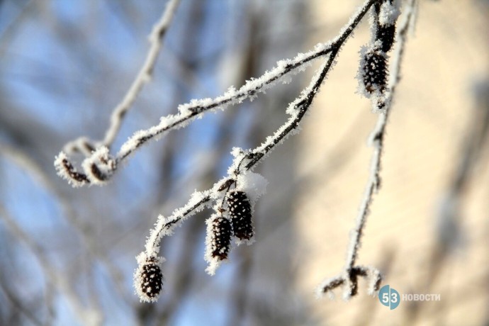 Зимы не будет? Неожиданная информация о погоде для жителей России Зимы не будет? Неожиданная информация о погоде для жителей России