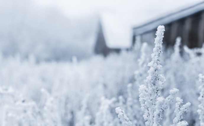 Морозно и снежно: погода в Сахалинской области 22 декабря