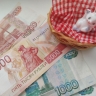 Как получить денежную выплату по уходу за ребенком