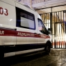 В Новой Москве бык напал на мужчину и проломил ему череп в конюшне