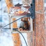 Плюсовая температура сохранится в Якутске и ряде районов