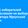 28,45% избирателей проголосовали на выборах губернатора Иркутской области