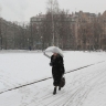 В Москве и Подмосковье объявлен оранжевый уровень погодной опасности