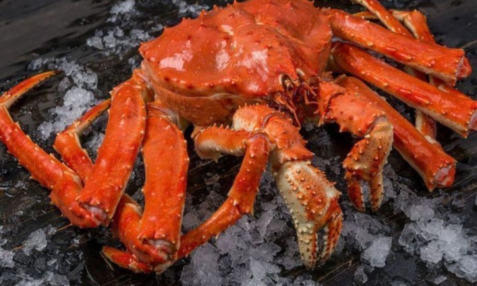 Браконьер из Приморья заплатит более 1,9 млн рублей за незаконный промысел краба Браконьер из Приморья заплатит более 1,9 млн рублей за незаконный промысел краба