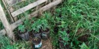 Варили меф: астраханец устроил нарколабораторию в Миассе 