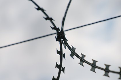 Россияне получили сроки в колонии из-за массового отравления шаурмой