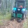 Более 600 километров минерализованных полос создали для защиты лесов от пожаров