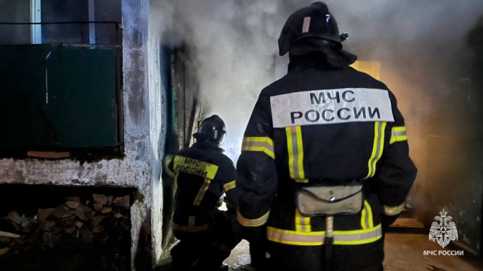 В Великом Новгороде на пожаре спасли четырёх человек и двух котов