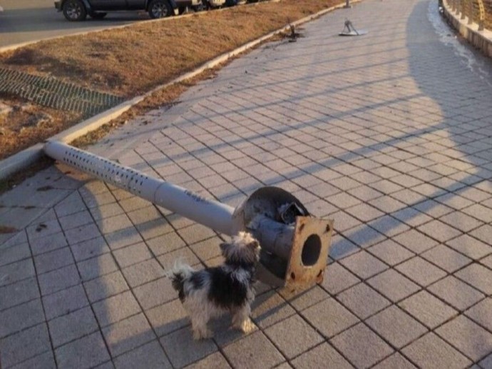 Ночной лихач разнёс Леопардовую набережную во Владивостоке