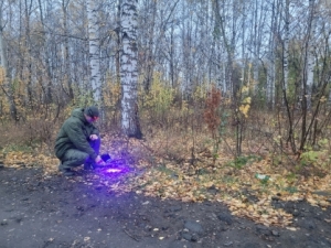 В Пермском крае мужчина признан виновным в убийстве своей знакомой, совершенном в 2008 году