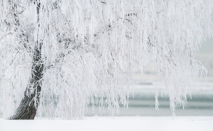 Метель и потепление: прогноз погоды для каждого района Сахалинской области на 11 января