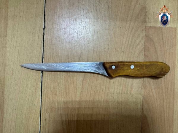 В Иркутской области отцеубийце дали семь лет колонии