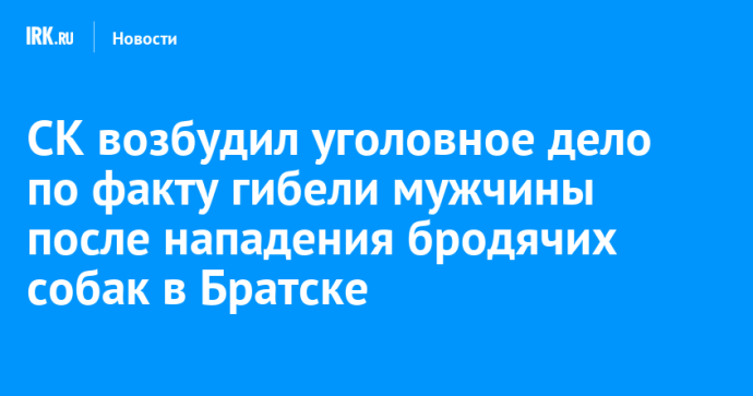 СК возбудил уголовное дело по факту гибели мужчины после нападения бродячих собак в Братске