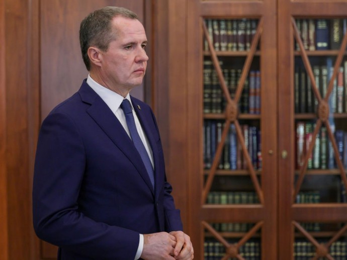 Вячеслав Гладков представил Владимиру Путину стратегию развития белгородского образования