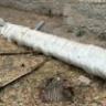 Из-за лопнувшей трубы астраханская больница осталась без воды