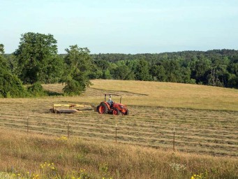 Удар в спину от главного покупателя: американские фермеры теряют главный рынок сбыта