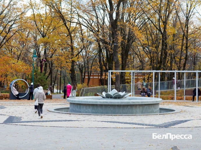 Как отдохнуть белгородцам 14–16 ноября