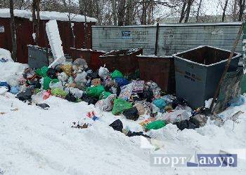 В Приамурье регоператора оштрафовали за переполненные мусорные баки