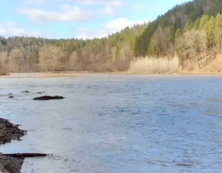 В реках Башкирии продолжает повышаться уровень воды