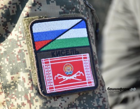 В Башкирии утвердили порядок награждения участников СВО