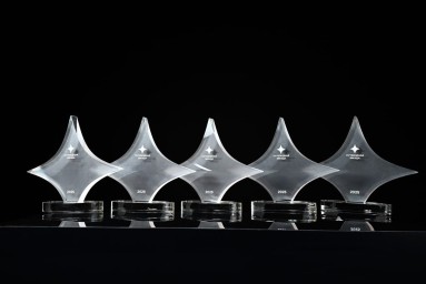 Собянин подвел итоги ежегодной премии в области туризма «Путеводная звезда»