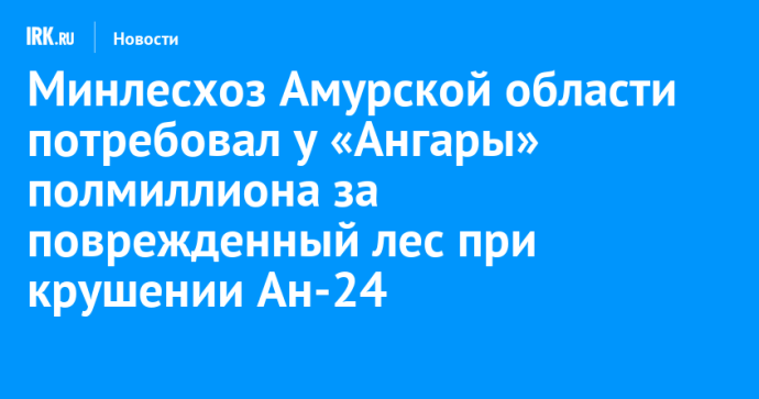 Минлесхоз Амурской области потребовал у «Ангары» полмиллиона за поврежденный лес при крушении Ан-24 в Тынде