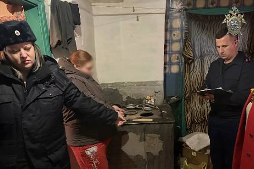 В Приамурье женщина с психическим расстройством убила сожителя своей тети В Приамурье женщина с психическим расстройством убила сожителя своей тети