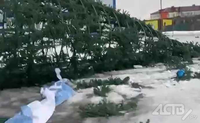 Скрюченные опоры ЛЭП и побитая ветром ёлка: видео последствий циклона на Курилах Скрюченные опоры ЛЭП и побитая ветром ёлка: видео последствий циклона на Курилах