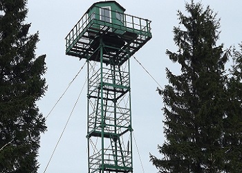 В Приамурье завершили расследование гибели стрелка из охраны ж/д транспорта