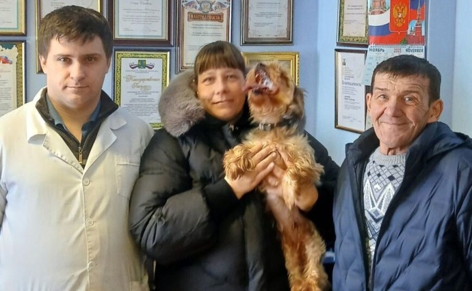 Регистрация домашних животных помогла "потеряшке" Баксу вернуться к хозяину Регистрация домашних животных помогла "потеряшке" Баксу вернуться к хозяину