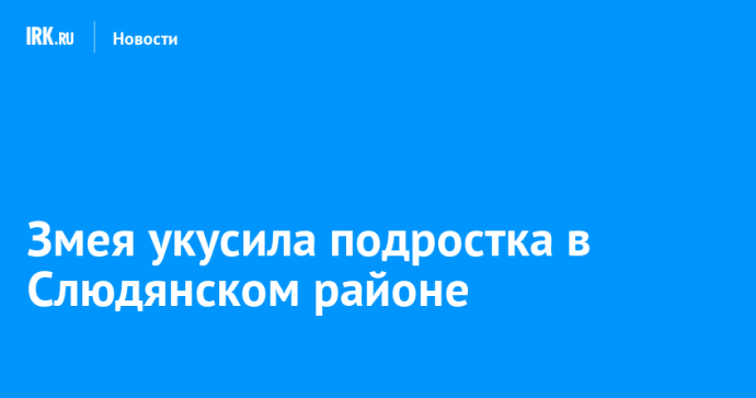 Змея укусила подростка в Слюдянском районе