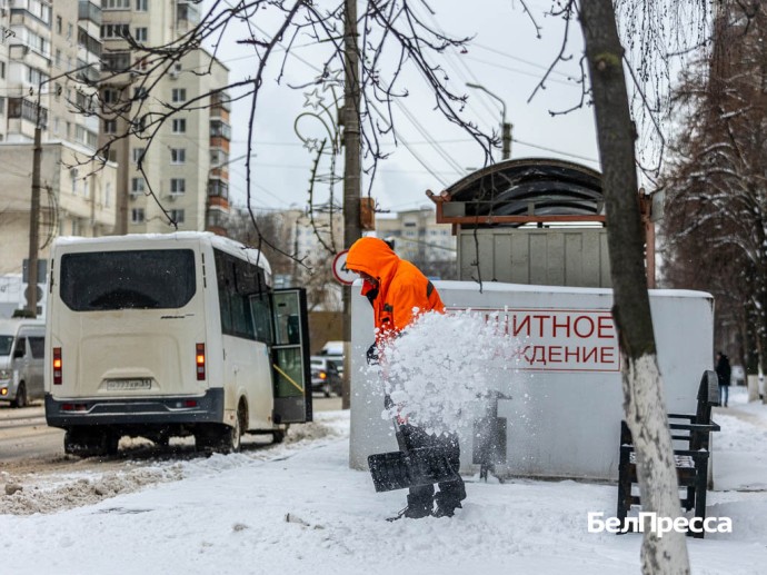Белгородские власти объяснили сложности с уборкой дорог во время непогоды