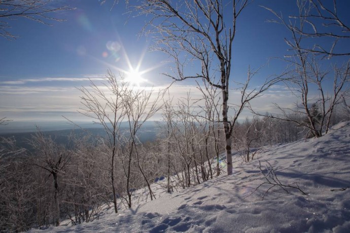 Потепление и новое арктическое вторжение: метеорологи рассказали о погоде в Пермском крае Потепление и новое арктическое вторжение: метеорологи рассказали о погоде в Пермском крае