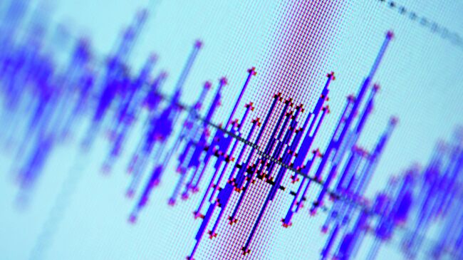 У побережья южных Курил зафиксировали землетрясение магнитудой 4,8