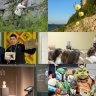 Чем запомнилась уходящая неделя в Якутии. Топ-10 новостей