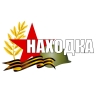 Новгородские поисковики удостоены наград и благодарностей Президента РФ