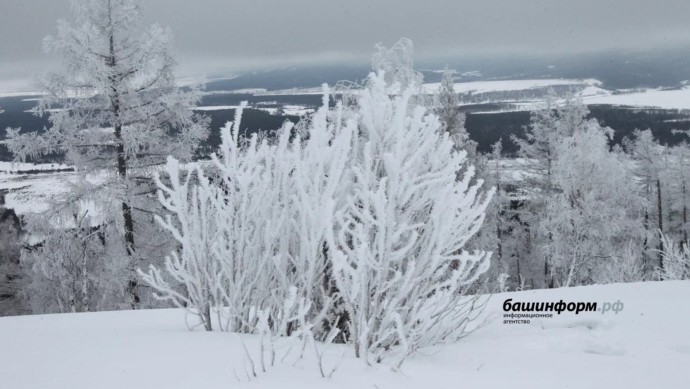 В Башкирии стала известна погода в середине зимы