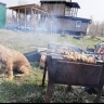 Шашлычные предпочтения у владивостокцев: свинина лидирует, но у каждого поколения свой вкус