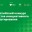 Школьные проекты из Петербурга – среди лидеров Всероссийского конкурса проектов инициативного бюджетирования