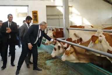 «Зачистка перед выборами»: Пашинян арестовал мэра Масиса