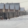 В пригороде Улан-Удэ свора собак растерзала пса
