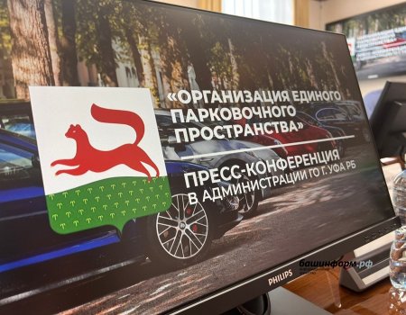 В Уфе льготу на платную парковку рекомендуют оформлять со 2 июня