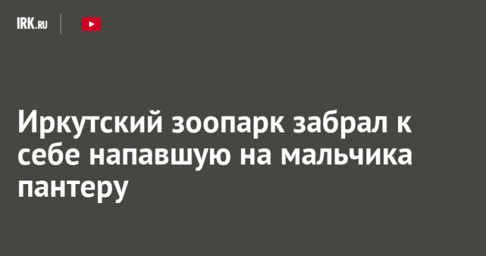 Иркутский зоопарк забрал к себе напавшую на мальчика пантеру Иркутский зоопарк забрал к себе напавшую на мальчика пантеру