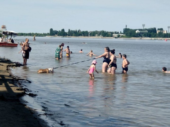 В женских купальниках популярных брендов нашли недочеты 
