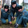 Тульские спасатели высадили 35 сосен в честь юбилея МЧС России