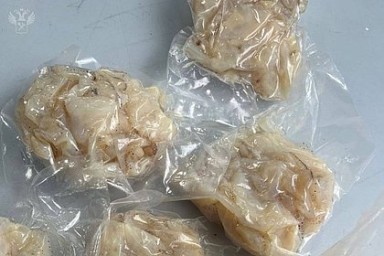 Россиянин попытался провезти морские деликатесы из Вьетнама и попался таможенникам