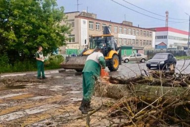 Непогода вновь затронула северо-запад и север Подмосковья